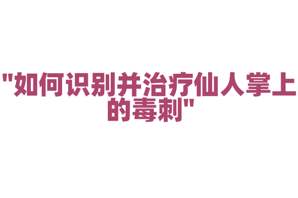 "如何识别并治疗仙人掌上的毒刺"